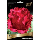 Пионы ИТО-гибриды Скарлет Хевен, 2-3 р-р, 1 шт. 80 h(см), Осень 2022  (артикул 9245988)  большой выбор товаров оптом и в розницу по низким ценам с доставкой