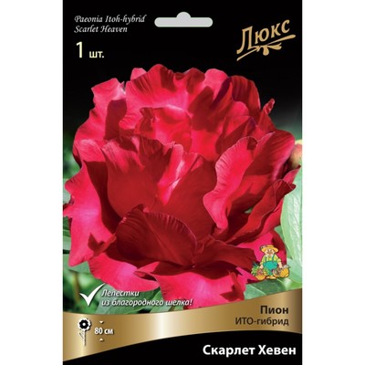 Пионы ИТО-гибриды Скарлет Хевен, 2-3 р-р, 1 шт. 80 h(см), Осень 2022