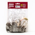 Лилии Азиатские «Арсенал», 14/16 р-р, 2 шт. 110 h(см), Осень 2024  (артикул 9245991)  большой выбор товаров оптом и в розницу по низким ценам с доставкой