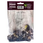 Лилии Азиатские «Далила», 14/16 р-р, 2 шт. 110 h(см), Осень 2024  (артикул 9245994)  большой выбор товаров оптом и в розницу по низким ценам с доставкой