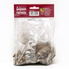 Лилии Азиатские «Джайв», 14/16 р-р, 2 шт. 90 h(см), Осень 2025 - Фото 2