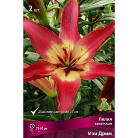 Лилии Азиатские «Изи Дрим», 14/16 р-р, 2 шт. 75-90 h(см), Осень 2022  (артикул 9246002)  большой выбор товаров оптом и в розницу по низким ценам с доставкой