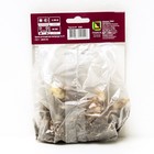 Лилии Азиатские «Италия», 14/16 р-р, 2 шт. 90-150 h(см), Осень 2024 - Фото 2