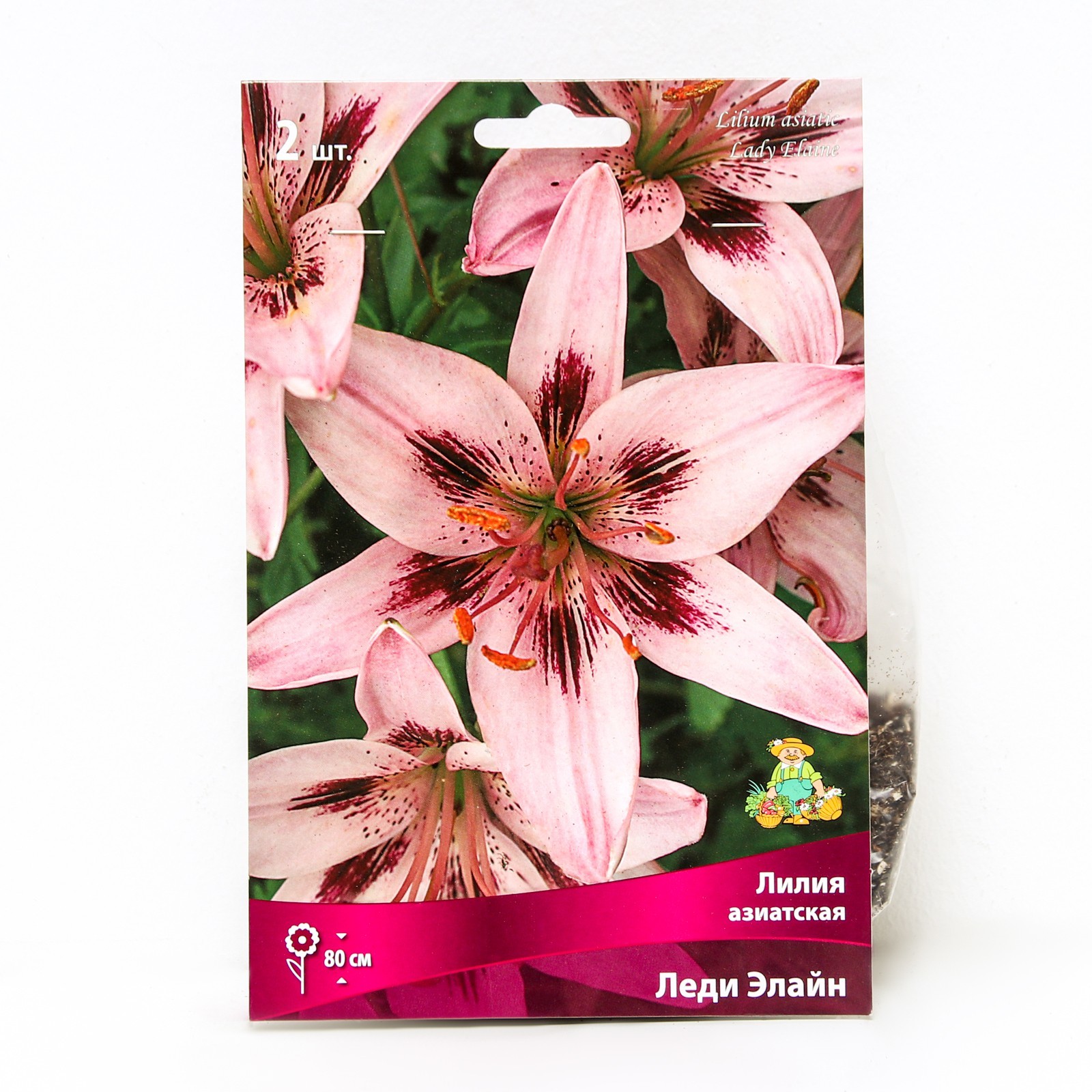 Лилия Леди Элис (тигровая) (1 упаковка - 2 луковицы) - купить в интернет-магазин