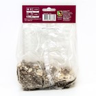 Лилии Азиатские «Лоллипоп», 14/16 р-р, 2 шт. 70 h(см), Осень 2024  (артикул 9246014)  большой выбор товаров оптом и в розницу по низким ценам с доставкой