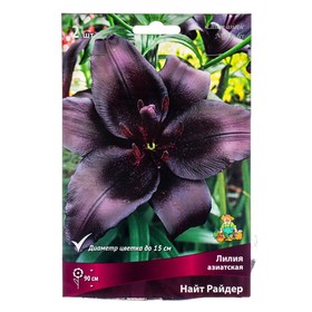 Лилии Азиатские Найт Райдер, 14/16 р-р, 2 шт. 90 h(см), Осень 2024  (артикул 9246022)  большой выбор товаров оптом и в розницу по низким ценам с доставкой