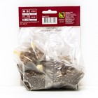 Лилии Азиатские «Оклахома Сити», 14/16 р-р, 2 шт. 70-100 h(см), Осень 2025  (артикул 9246025)  большой выбор товаров оптом и в розницу по низким ценам с доставкой