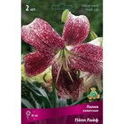 Лилии Азиатские «Пёпл Лайф», 14/16 р-р, 2 шт. 85 h(см), Осень 2022  (артикул 9246027)  большой выбор товаров оптом и в розницу по низким ценам с доставкой