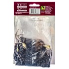 Лилии Азиатские «Полианна», 14/16 р-р, 2 шт. 115 h(см), Осень 2025  (артикул 9246028)  большой выбор товаров оптом и в розницу по низким ценам с доставкой