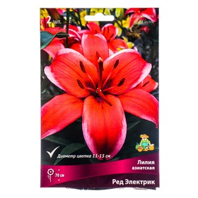 Лилии Азиатские Ред Электрик, 14/16 р-р, 2 шт. 70 h(см), Осень 2024  (артикул 9246031)  большой выбор товаров оптом и в розницу по низким ценам с доставкой