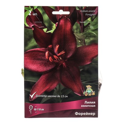 Лилии Азиатские «Форейнер», 14/16 р-р, 2 шт. 100-115 h(см), Осень 2025