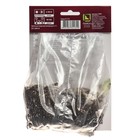 Лилии Азиатские «Форейнер», 14/16 р-р, 2 шт. 100-115 h(см), Осень 2025 - Фото 2