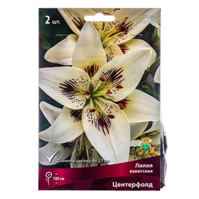 Лилии Азиатские «Центерфолд», 14/16 р-р, 2 шт. 100 h(см), Осень 2025  (артикул 9246049)  большой выбор товаров оптом и в розницу по низким ценам с доставкой