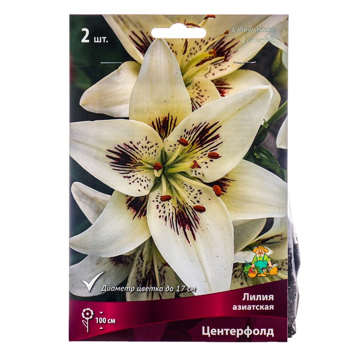 Лилии Азиатские «Центерфолд», 14/16 р-р, 2 шт. 100 h(см), Осень 2025 - Фото 1