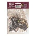 Лилии Азиатские горшечные Тайни Глоу, 12/14 р-р, 2 шт. 40 h(см), Осень 2022  (артикул 9246060)  большой выбор товаров оптом и в розницу по низким ценам с доставкой