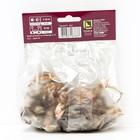 Лилии Азиатские махровые «Аарон», 14/16 р-р, 2 шт. 70 h(см), Осень 2025  (артикул 9246067)  большой выбор товаров оптом и в розницу по низким ценам с доставкой