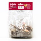 Лилии Азиатские махровые «Блад Бразерз», 14/16 р-р, 2 шт. 80 h(см), Осень 2022  (артикул 9246071)  большой выбор товаров оптом и в розницу по низким ценам с доставкой