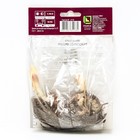 Лилии Азиатские махровые «Дабл Трабл», 14/16 р-р, 2 шт. 90 h(см), Осень 2025  (артикул 9246074)  большой выбор товаров оптом и в розницу по низким ценам с доставкой