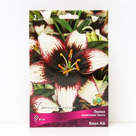 Лилии Азиатские  Танго Блэк Ай, 14/16 р-р, 2 шт. 85 h(см), Осень 2024  (артикул 9246090)  большой выбор товаров оптом и в розницу по низким ценам с доставкой