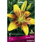 Лилии Азиатские «Танго Граффити», 14/16 р-р, 2 шт. 85 h(см), Осень 2022  (артикул 9246091)  большой выбор товаров оптом и в розницу по низким ценам с доставкой