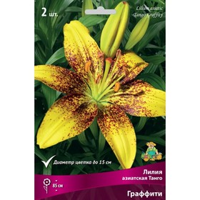 Лилии Азиатские «Танго Граффити», 14/16 р-р, 2 шт. 85 h(см), Осень 2022  (артикул 9246091)  большой выбор товаров оптом и в розницу по низким ценам с доставкой