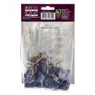 Лилии Азиатские «Танго Изи Данс», 14/16 р-р, 2 шт. 80 h(см), Осень 2025  (артикул 9246092)  большой выбор товаров оптом и в розницу по низким ценам с доставкой