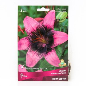 Лилии Азиатские  Танго Пёпл Дрим, 14/16 р-р, 2 шт. 95 h(см), Осень 2024  (артикул 9246094)  большой выбор товаров оптом и в розницу по низким ценам с доставкой
