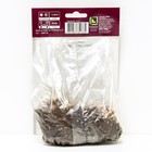 Лилии Азиатские «Танго Чоклат Ивент», 14/16 р-р, 2 шт. 100 h(см), Осень 2022  (артикул 9246098)  большой выбор товаров оптом и в розницу по низким ценам с доставкой