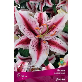 Лилии Восточные Диззи, 14/16 р-р, 2 шт. 100 h(см), Осень 2024  (артикул 9246121)  большой выбор товаров оптом и в розницу по низким ценам с доставкой