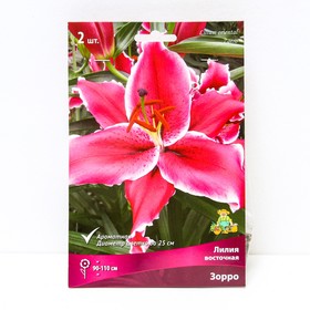 Лилии Восточные Зорро, 14/16 р-р, 2 шт. 110 h(см), Осень 2024  (артикул 9246123)  большой выбор товаров оптом и в розницу по низким ценам с доставкой