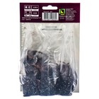 Лилии Восточные «Кзотико», 14/16 р-р, 2 шт. 110 h(см), Осень 2025  (артикул 9246126)  большой выбор товаров оптом и в розницу по низким ценам с доставкой