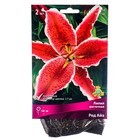 Лилии Восточные Ред Айз, 14/16 р-р, 2 шт. 100 h(см), Осень 2024  (артикул 9246141)  большой выбор товаров оптом и в розницу по низким ценам с доставкой