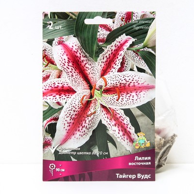 Лилии Восточные «Тайгер Вудс», 14/16 р-р, 2 шт. 90 h(см), Осень 2024
