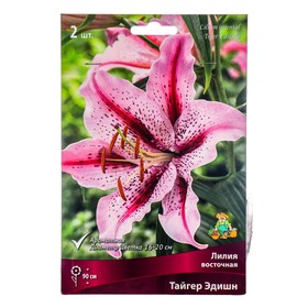 Лилии Восточные Тайгер Эдишн, 14/16 р-р, 2 шт. 90 h(см), Осень 2024  (артикул 9246150)  большой выбор товаров оптом и в розницу по низким ценам с доставкой