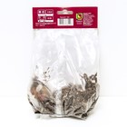 Лилии Восточные «Хати», 14/16 р-р, 2 шт. 100 h(см), Осень 2024  (артикул 9246155)  большой выбор товаров оптом и в розницу по низким ценам с доставкой