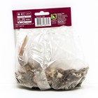 Лилии Восточные «Хотспот», 14/16 р-р, 2 шт. 120 h(см), Осень 2025  (артикул 9246157)  большой выбор товаров оптом и в розницу по низким ценам с доставкой