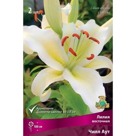 Лилии Восточные «Чилл Аут», 14/16 р-р, 2 шт. 100 h(см), Осень 2022  (артикул 9246158)  большой выбор товаров оптом и в розницу по низким ценам с доставкой