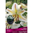 Лилии Восточные горшечные «Гарден Парти», 12/14 р-р, 2 шт. 45 h(см), Осень 2022  (артикул 9246160)  большой выбор товаров оптом и в розницу по низким ценам с доставкой