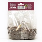 Лилии Восточные горшечные «Старлайт Экспресс», 12/14 р-р, 2 шт. 45-50 h(см), Осень 2022  (артикул 9246162)  большой выбор товаров оптом и в розницу по низким ценам с доставкой