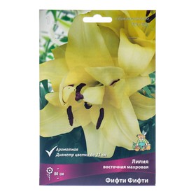 Лилии Восточные махровые «Фифти Фифти», 14/16 р-р, 1 шт. 80 h(см), Осень 2025  (артикул 9246173)  большой выбор товаров оптом и в розницу по низким ценам с доставкой