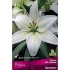Лилии ЛА-гибриды Аркашон, 14/16 р-р, 2 шт. 120 h(см), Осень 2024  (артикул 9246176)  большой выбор товаров оптом и в розницу по низким ценам с доставкой