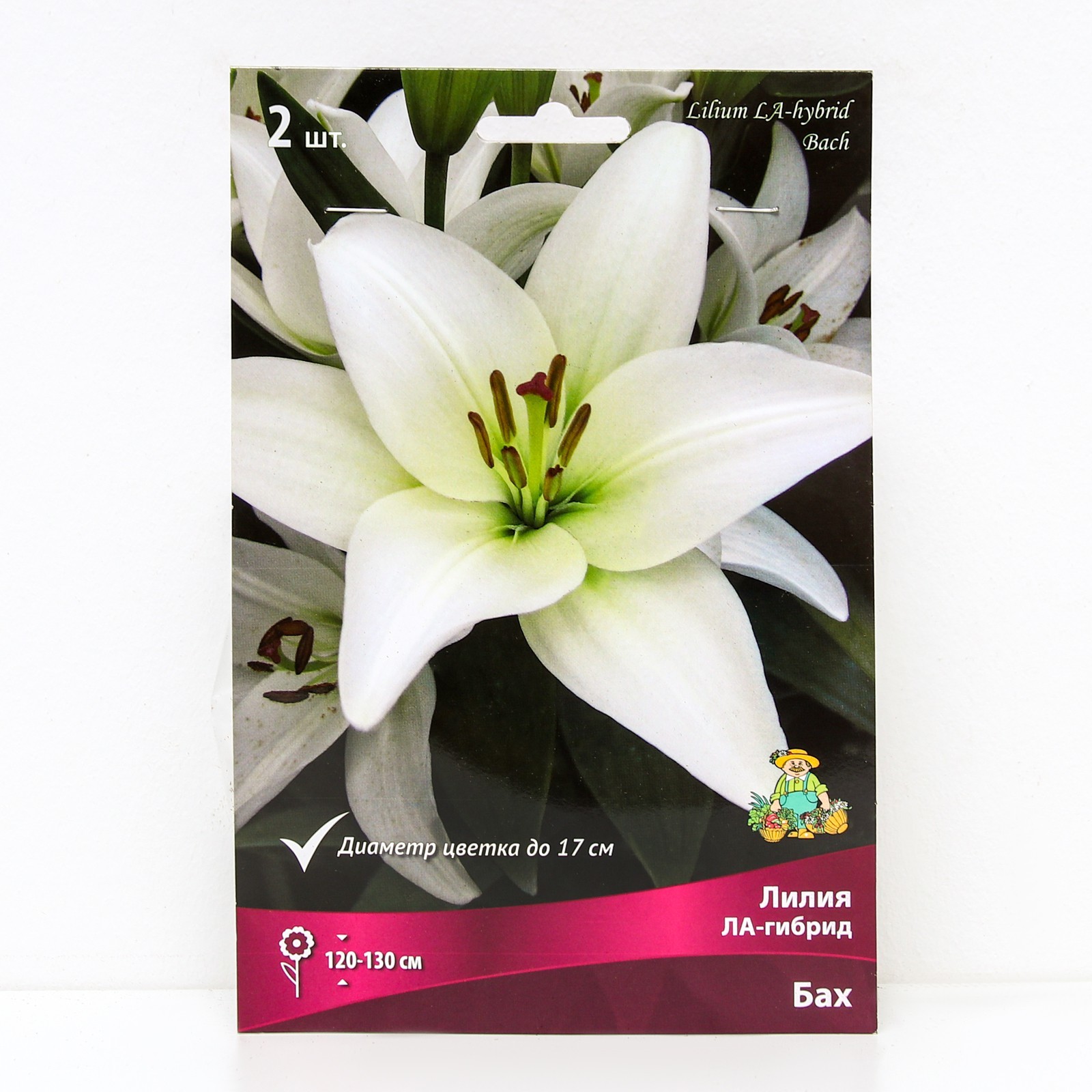Лилия ла-гибрид "Бах" (Bach) 1шт в упаковке купить в интернет-магазине Агро-Марк