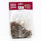 Лилии ЛА-гибриды Бах, 14/16 р-р, 2 шт. 120-130 h(см), Осень 2024 - Фото 2