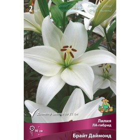 Лилии ЛА-гибриды Брайт Даймонд, 14/16 р-р, 2 шт. 90 h(см), Осень 2024  (артикул 9246184)  большой выбор товаров оптом и в розницу по низким ценам с доставкой
