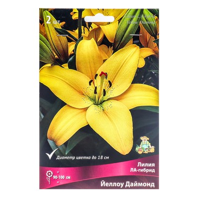 Лилии ЛА-гибриды Йеллоу Даймонд, 14/16 р-р, 2 шт. 90-100 h(см), Осень 2024