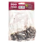 Лилии ЛА-гибриды «Коларес», 14/16 р-р, 2 шт. 140-150 h(см), Осень 2022  (артикул 9246196)  большой выбор товаров оптом и в розницу по низким ценам с доставкой