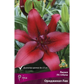 Лилии ЛА-гибриды «Ориджинал Лав», 14/16 р-р, 2 шт. 130 h(см), Осень 2025  (артикул 9246210)  большой выбор товаров оптом и в розницу по низким ценам с доставкой