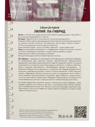 Лилии ЛА-гибриды Пёпл Даймонд, 14/16 р-р, 2 шт. 110 h(см), Весна 2026