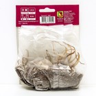 Лилии ЛА-гибриды Свит Шугар, 14/16 р-р, 2 шт. 120 h(см), Осень 2024  (артикул 9246226)  большой выбор товаров оптом и в розницу по низким ценам с доставкой