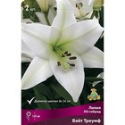 Лилии ЛО-Гибриды Вайт Триумф, 14/16 р-р, 2 шт. 120 h(см), Осень 2024  (артикул 9246235)  большой выбор товаров оптом и в розницу по низким ценам с доставкой